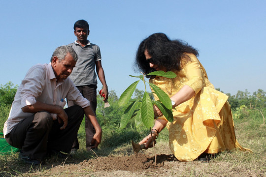 CUES plantation photos