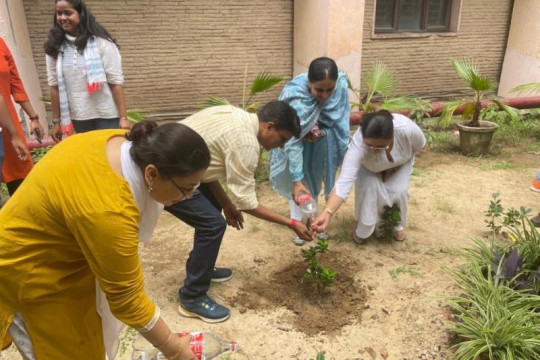 Tree Plantation program under the campaign Meri Maati mera Desh